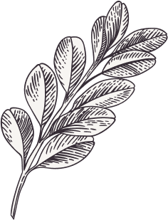 Rosemary