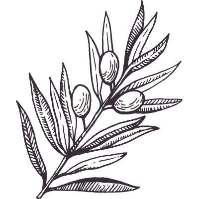 Olive Oil
