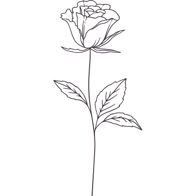 Rose Oil