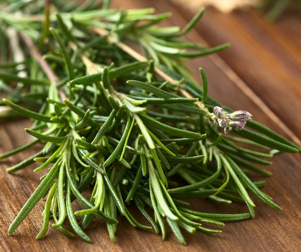 Unlock the Power of Rosemary: Transform Your Hair and Scalp Health